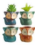 Cute Fox Style Succulent Pot